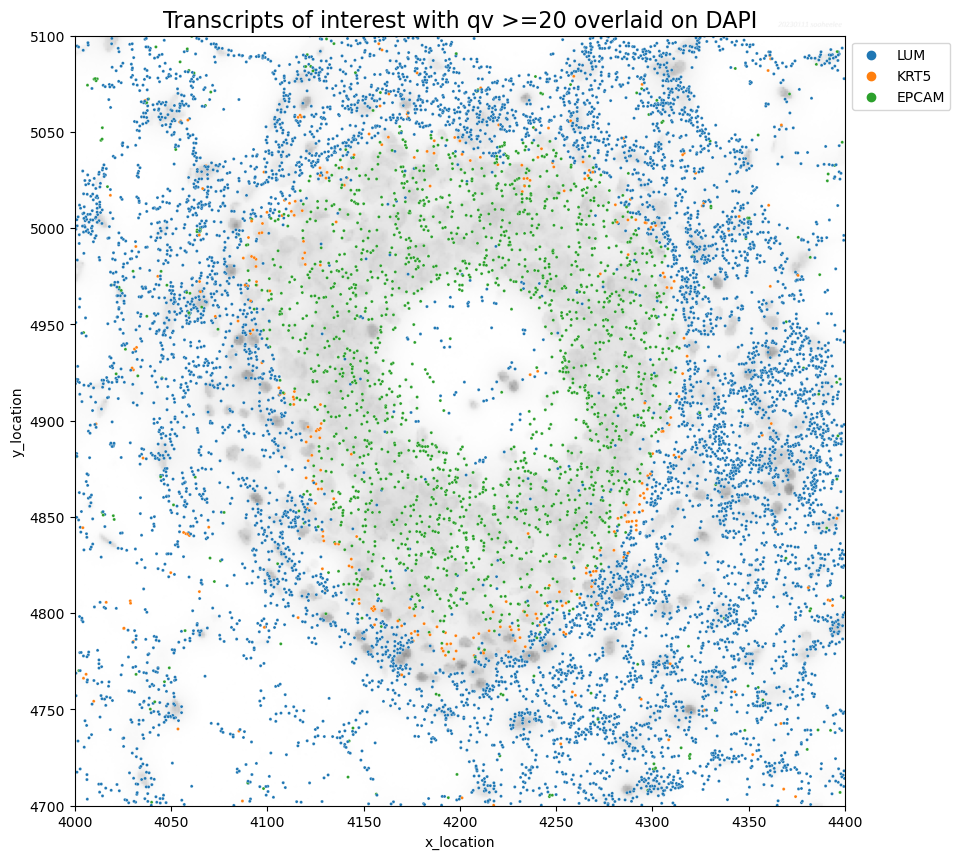 shlee-20230111-kb-xenium-scale-factors-09.png