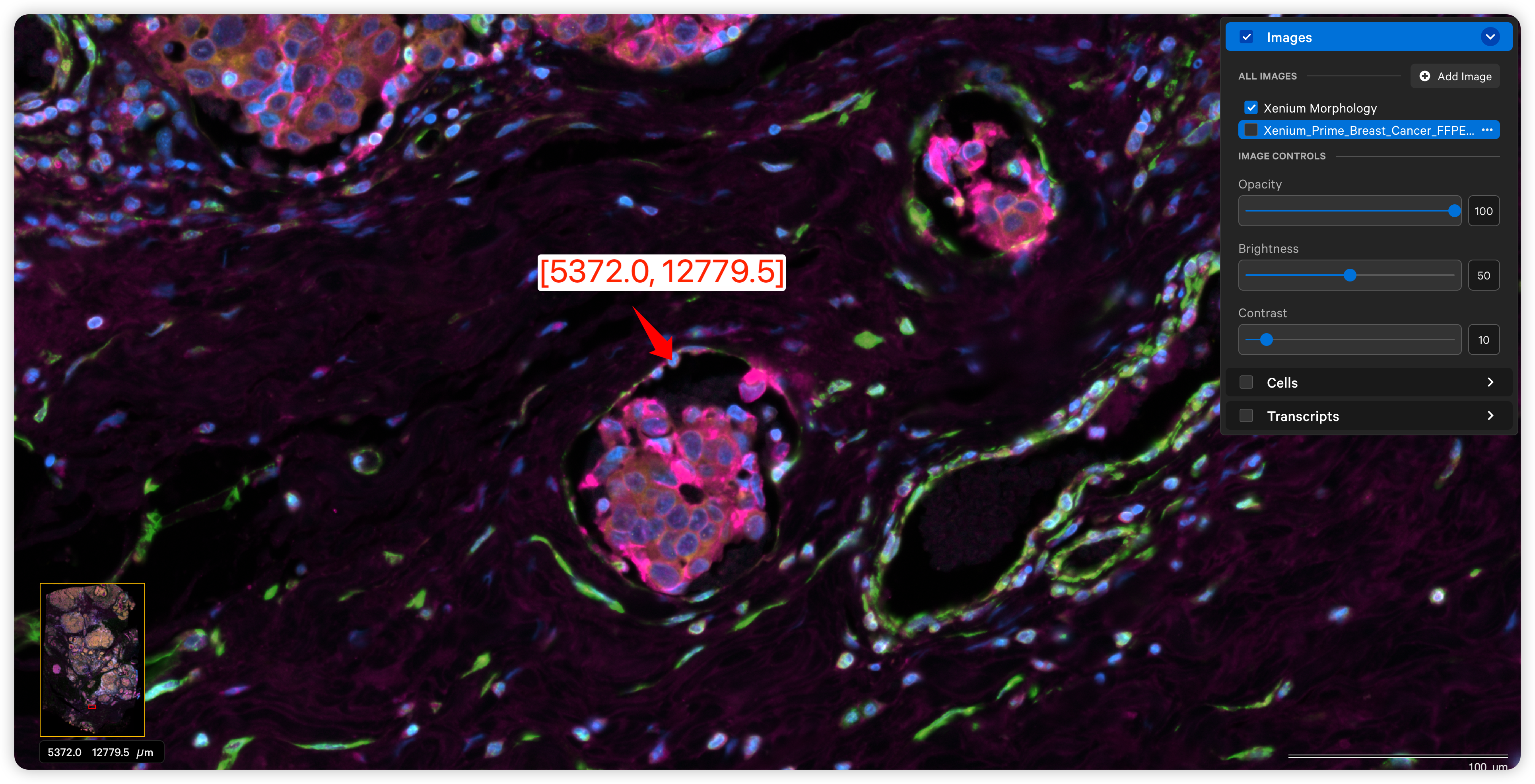 iShot_2025-04-01_15.32.44.png