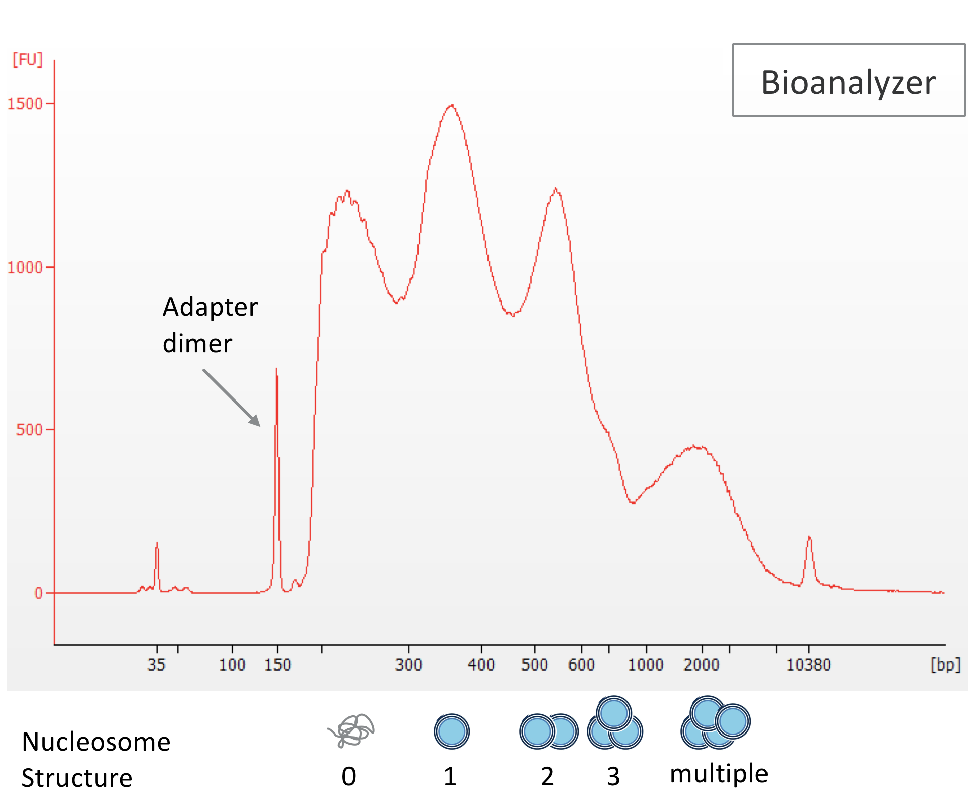 Library QC For ATAC-Seq And CUT&Tag AKA “Does My Library, 50% OFF