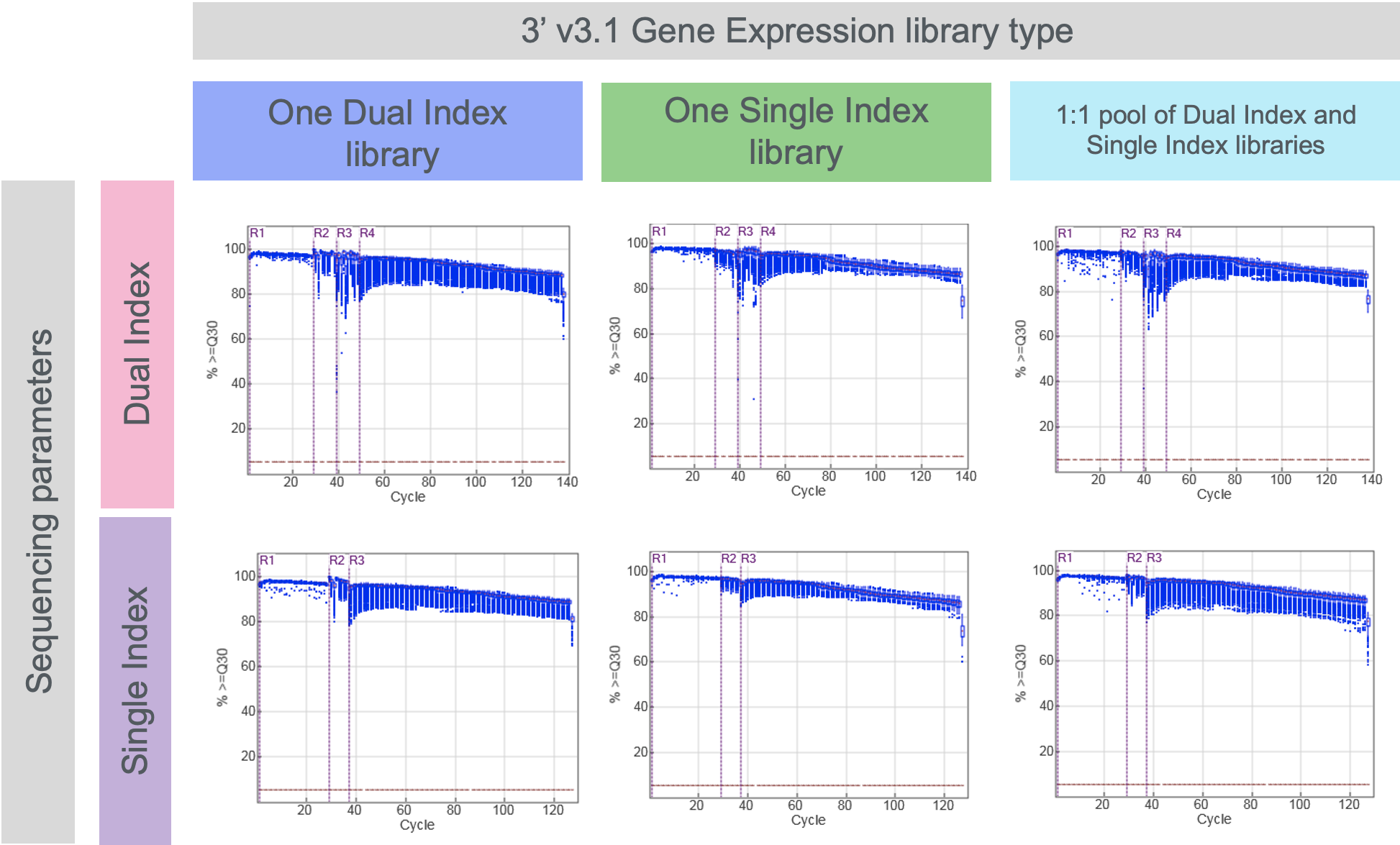 Single_dual_index_NextSeq.png