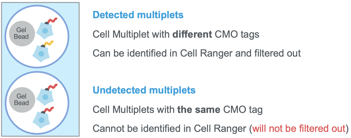 mutliplet_detection.png