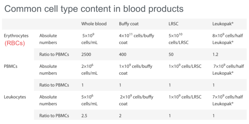 red blood cells and white blood cells difference