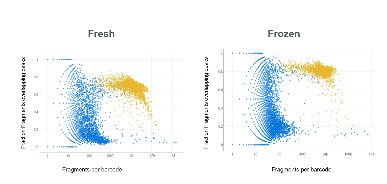 Fresh or Flash-Frozen? What's Better?