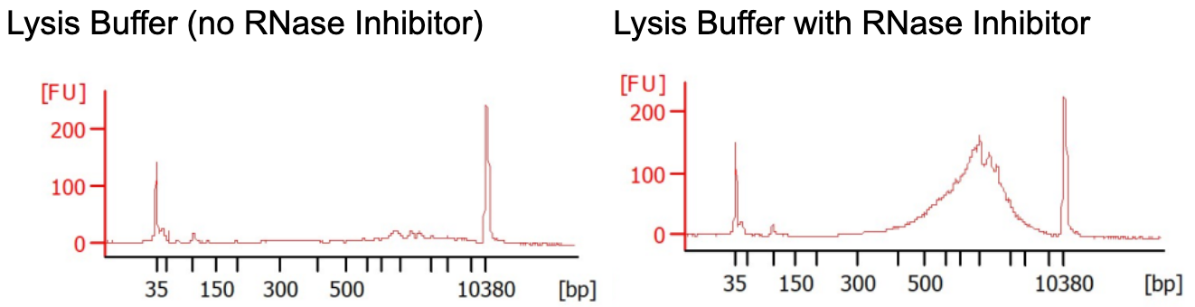 Fig3_small_intesting_RNase inhibitor.png