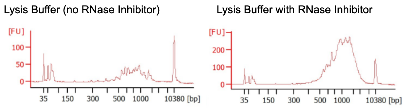 Fig1_mouse_liver_RNase inhibitor.png