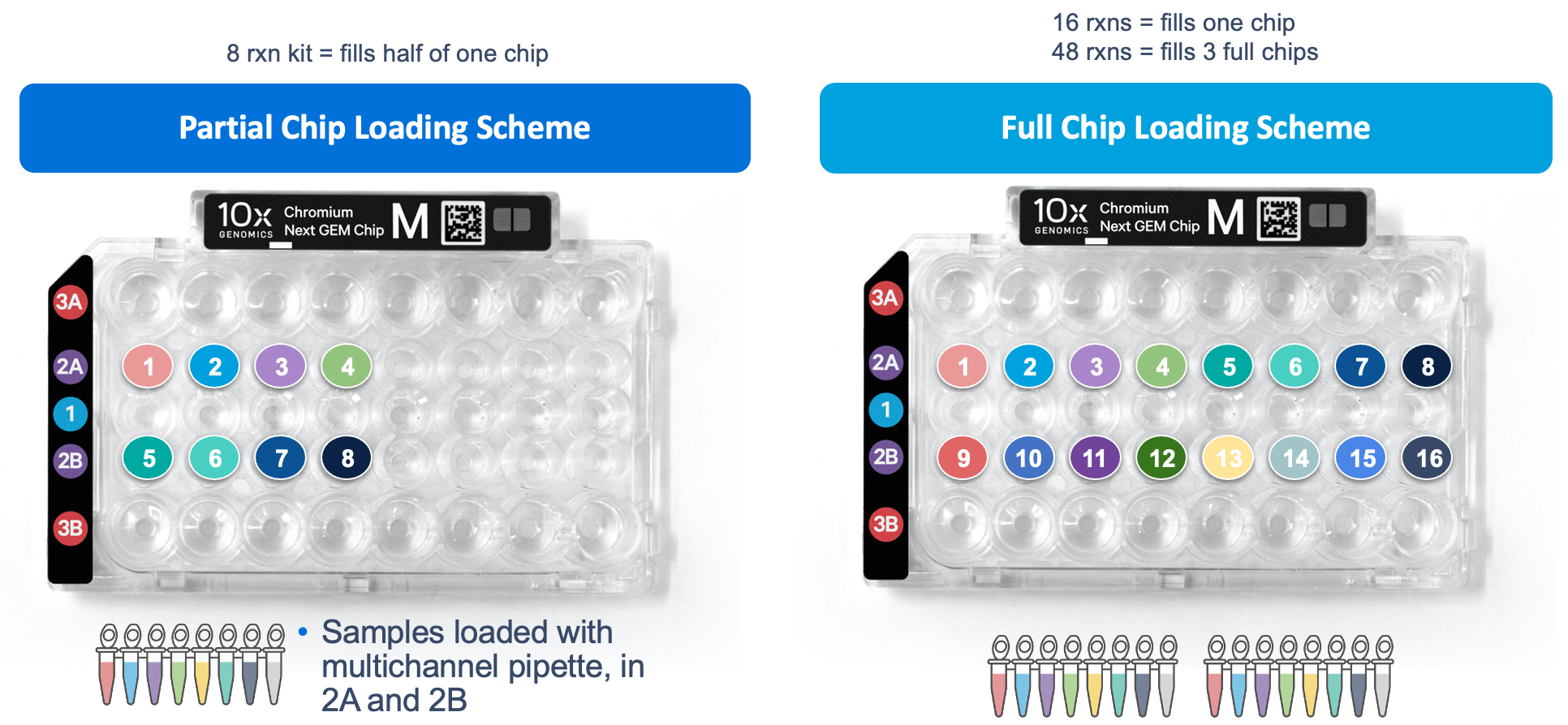 What comes in my HT kit? – 10X Genomics