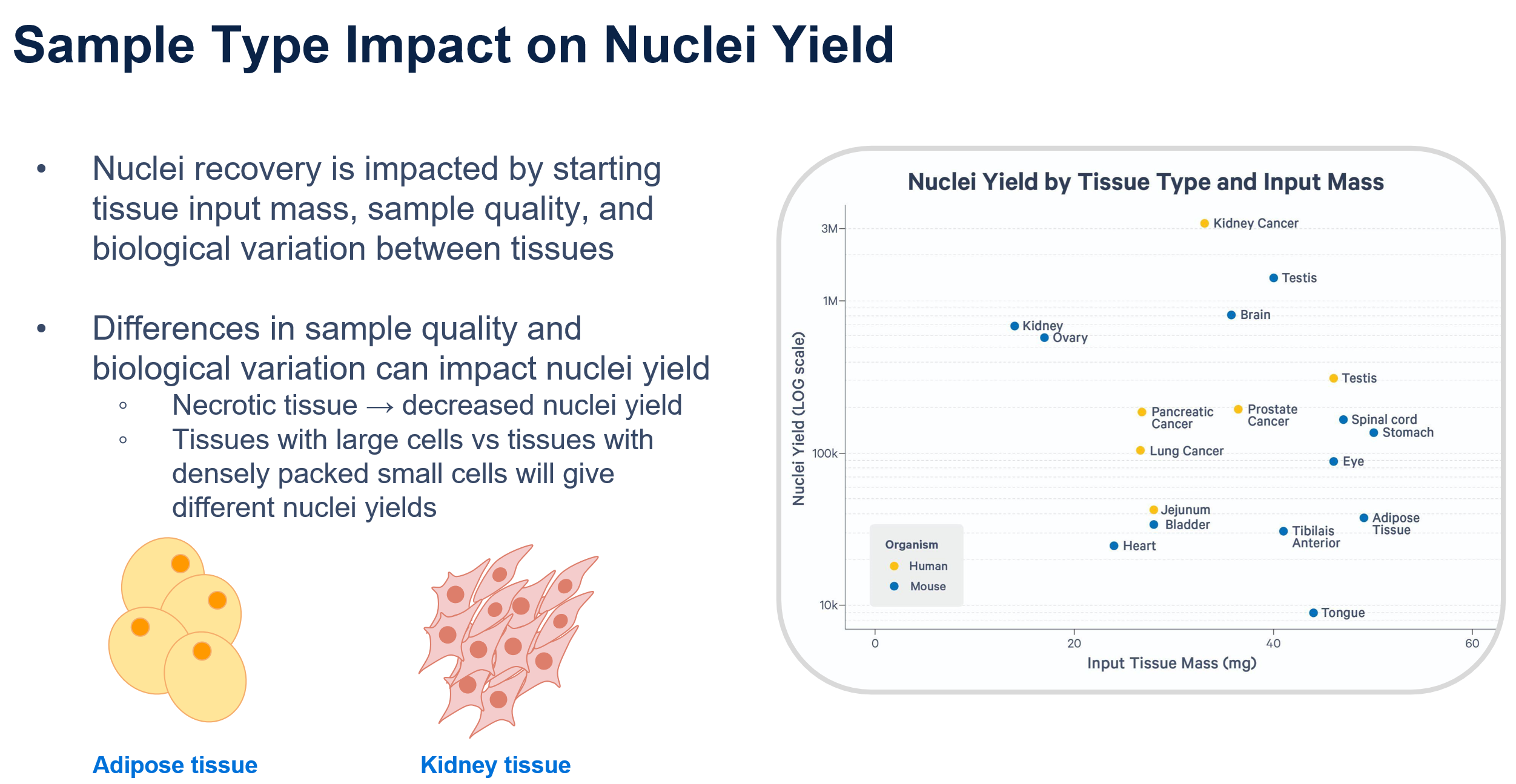 Nuclei_Yield_Image.png
