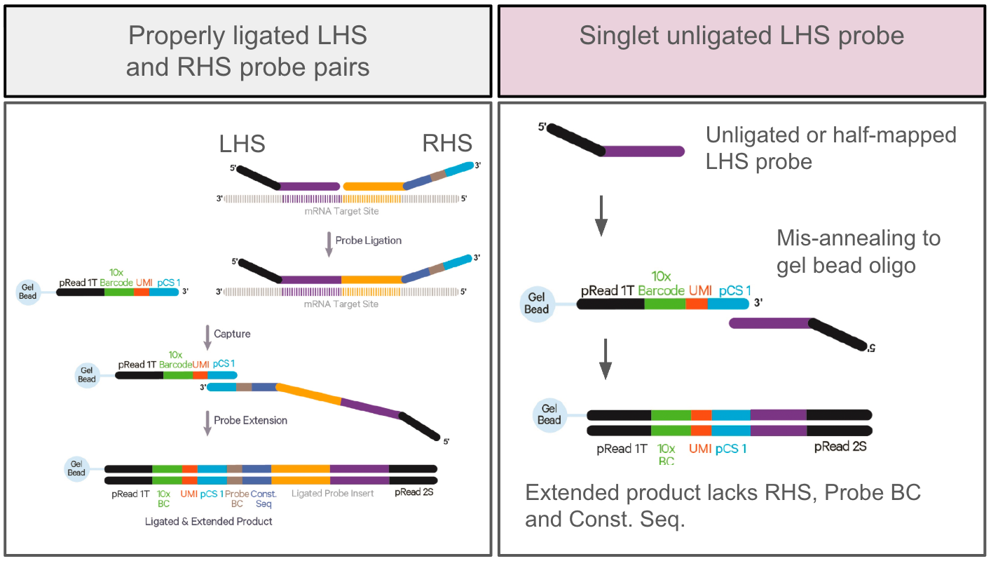 Why does my Flex Gene Expression library look unexpected or have low yield?